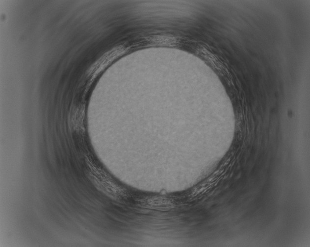 X0000085740146200704091518