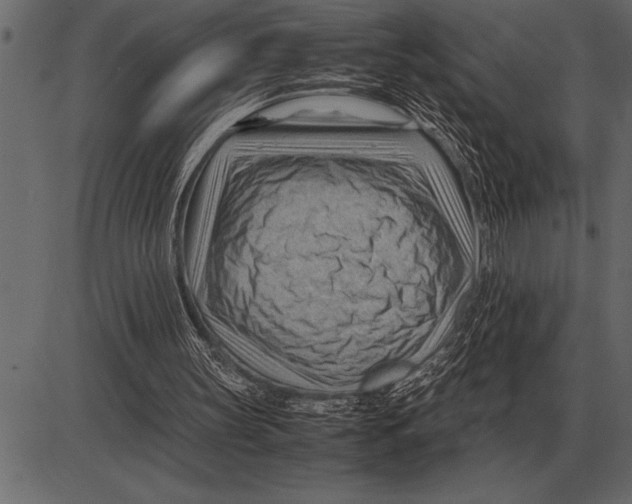 X0000085740147200704091518