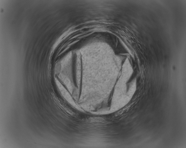 X0000085740150200704091518