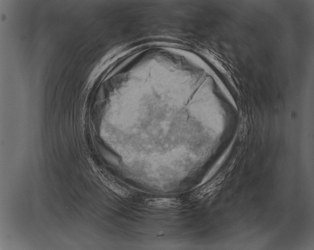 X0000085740151200704091518