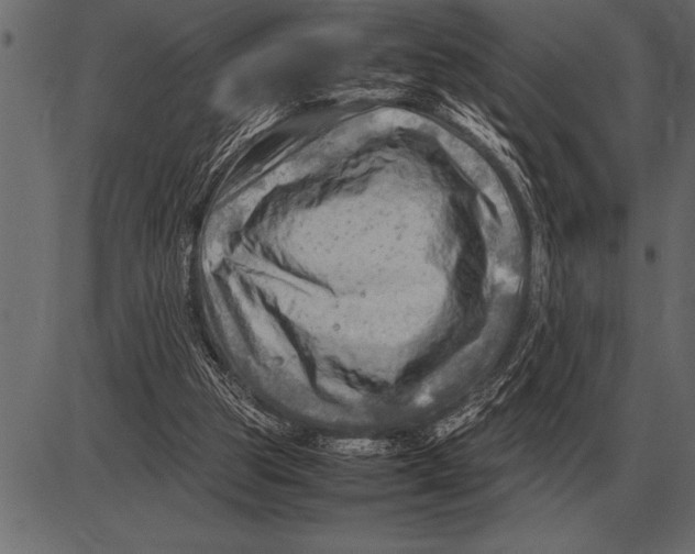 X0000085740153200704091519