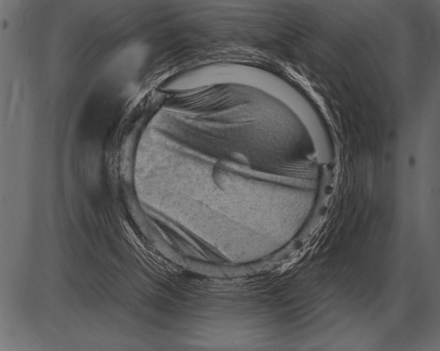 X0000085740154200704091519