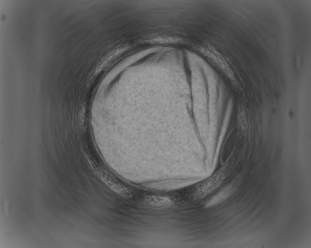 X0000085740159200704091519