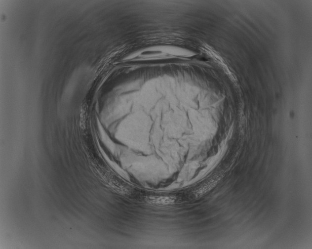 X0000085740161200704091519