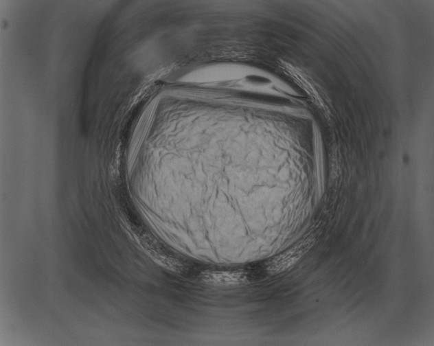 X0000085740163200704091519