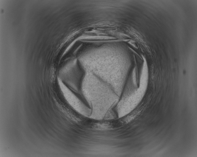 X0000085740164200704091519
