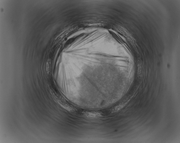 X0000085740165200704091519