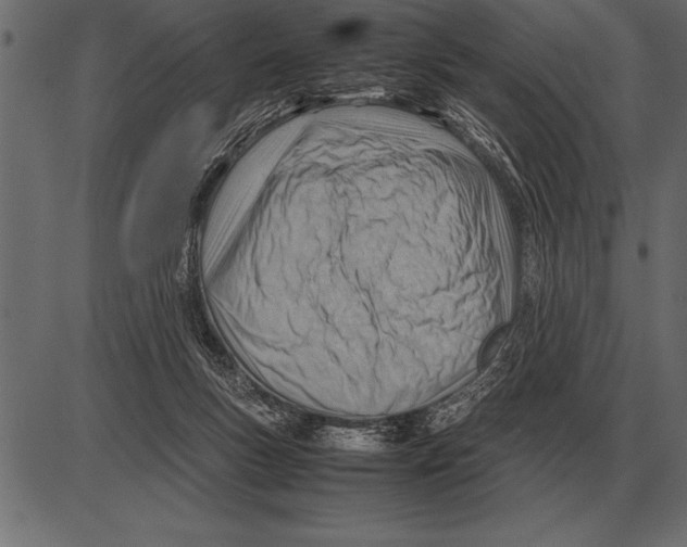 X0000085740167200704091519