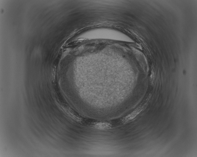 X0000085740168200704091519