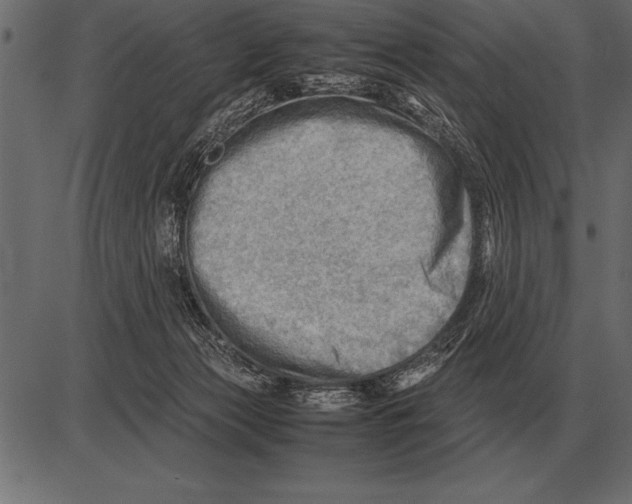 X0000085740173200704091519