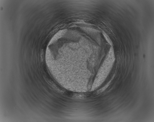 X0000085740174200704091519