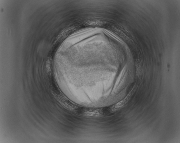 X0000085740175200704091519