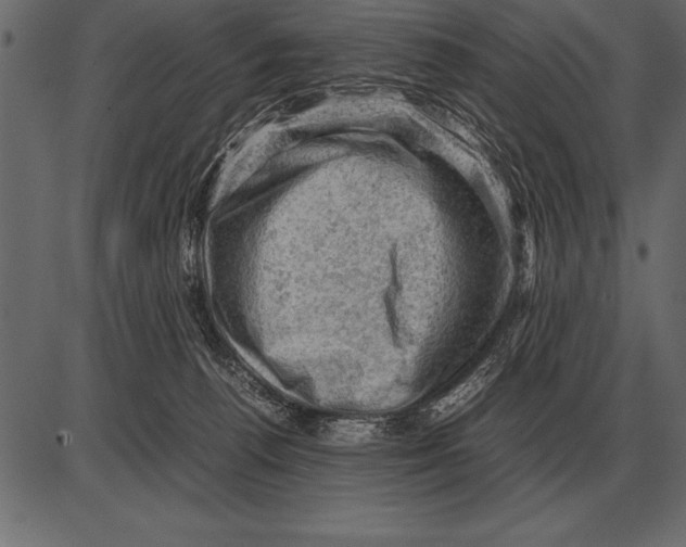 X0000085740176200704091519