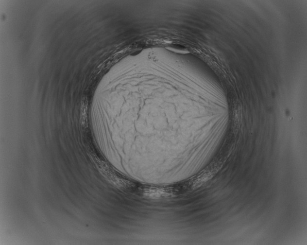 X0000085740177200704091519