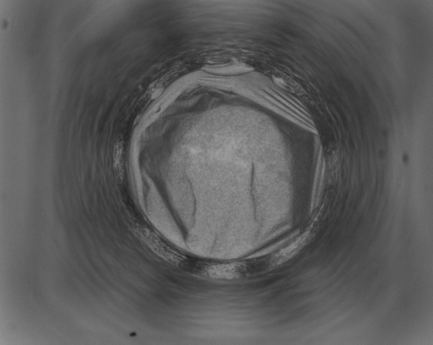 X0000085740178200704091519