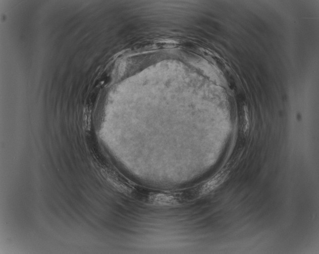X0000085740180200704091519