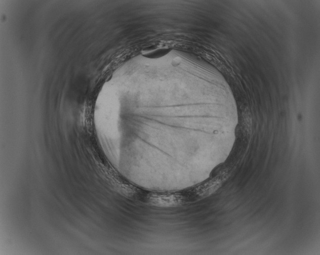 X0000085740181200704091519