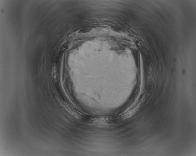X0000085740182200704091519