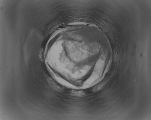 X0000085740185200704091519