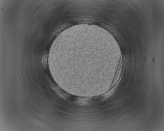 X0000085740190200704091519