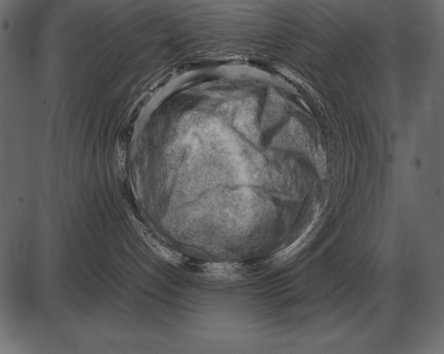 X0000085740192200704091519