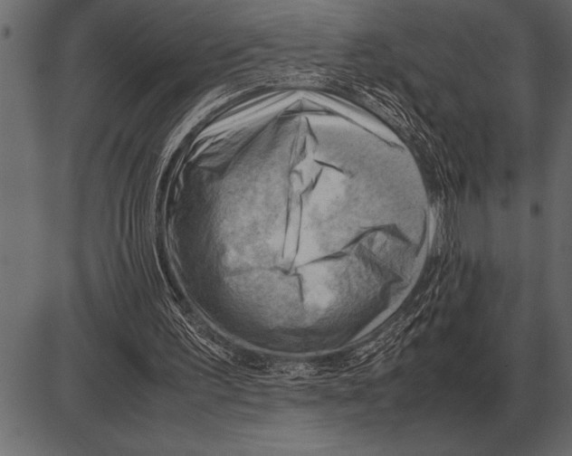 X0000085740195200704091518