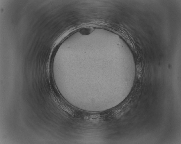 X0000085740196200704091518
