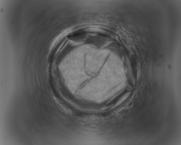 X0000085740197200704091518