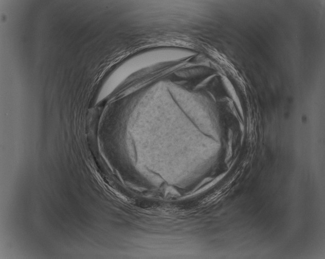 X0000085740201200704091518