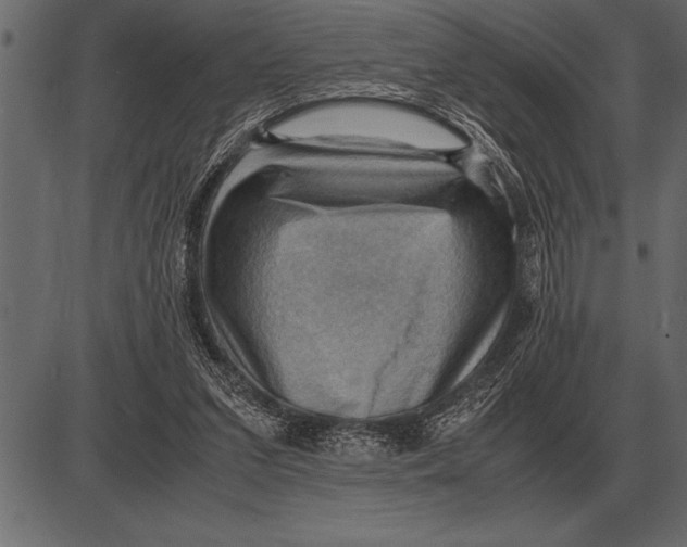 X0000085740207200704091518