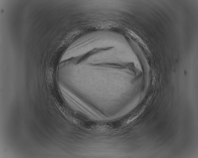 X0000085740209200704091518