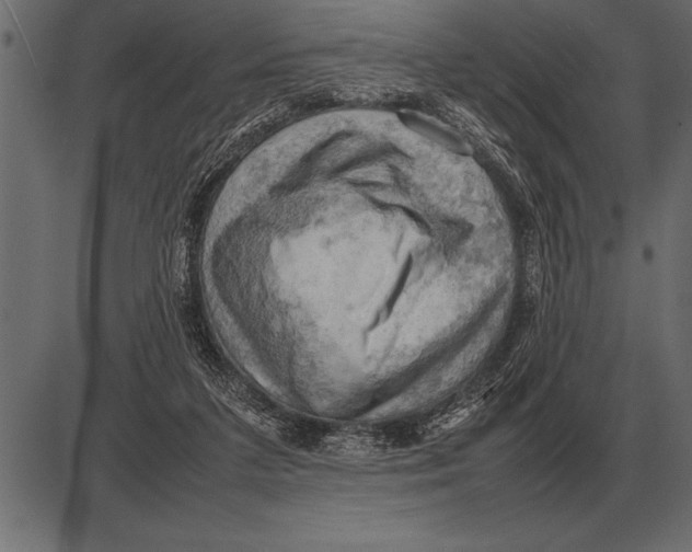 X0000085740211200704091518
