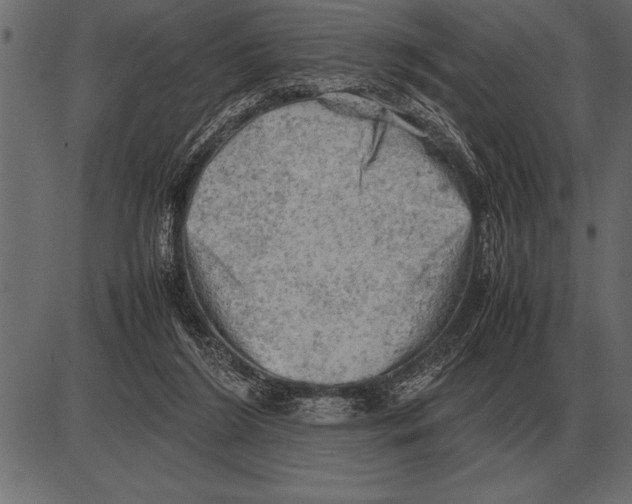 X0000085740212200704091518