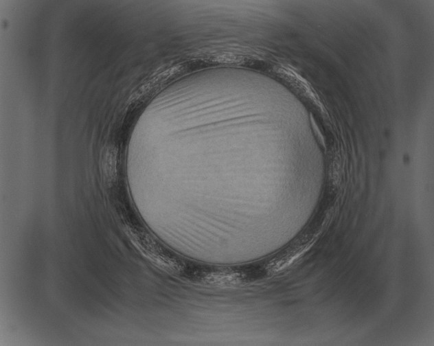 X0000085740213200704091518