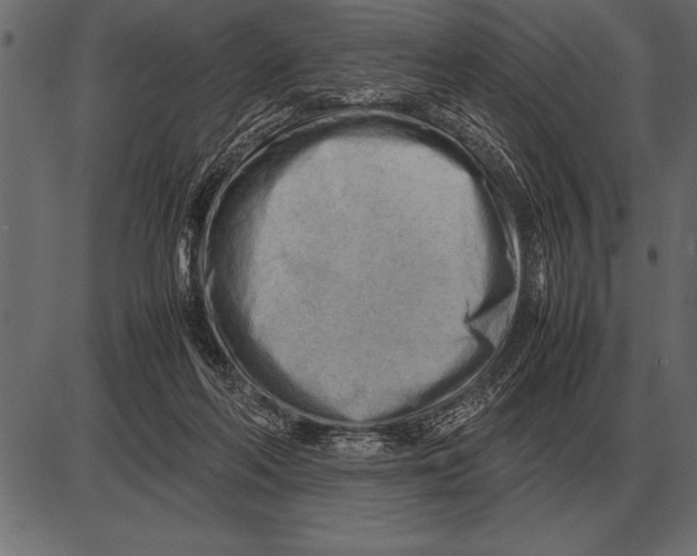 X0000085740214200704091518