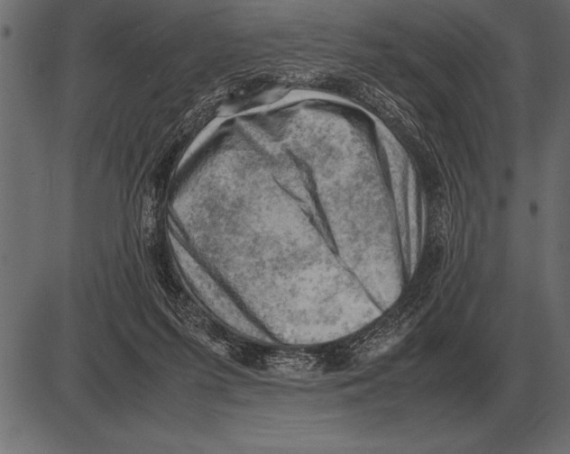 X0000085740215200704091518
