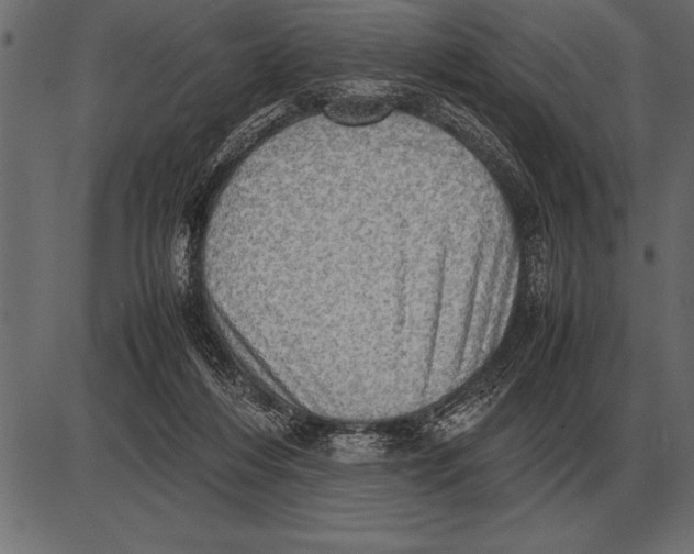 X0000085740216200704091518