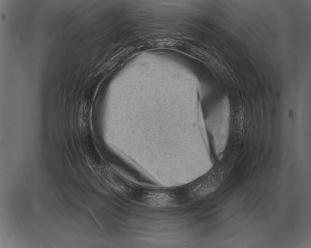 X0000085740218200704091518