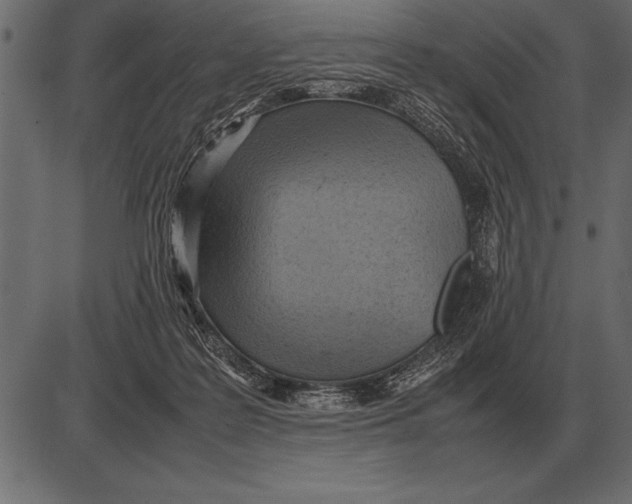 X0000085740219200704091518