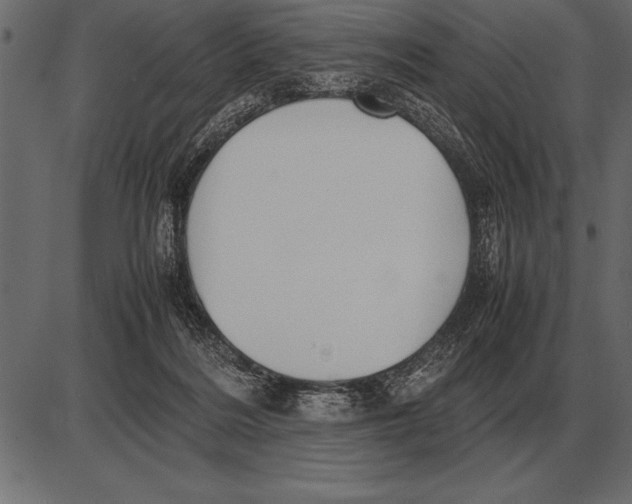 X0000085740220200704091518