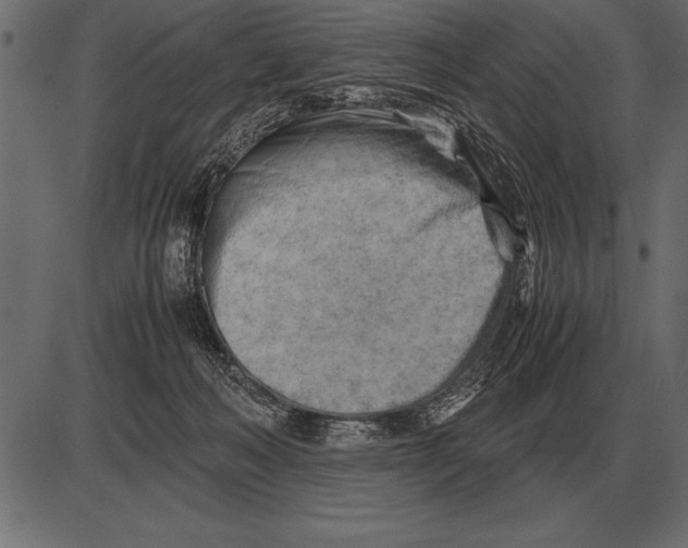 X0000085740222200704091518