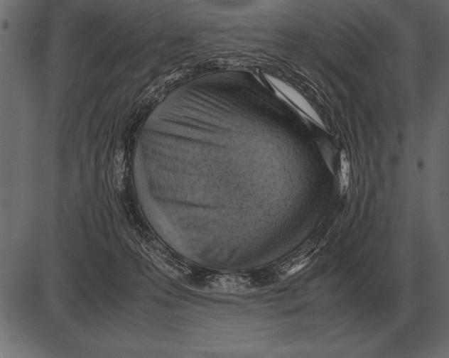 X0000085740223200704091518