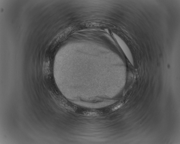 X0000085740224200704091518