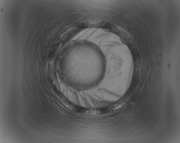 X0000085740225200704091518