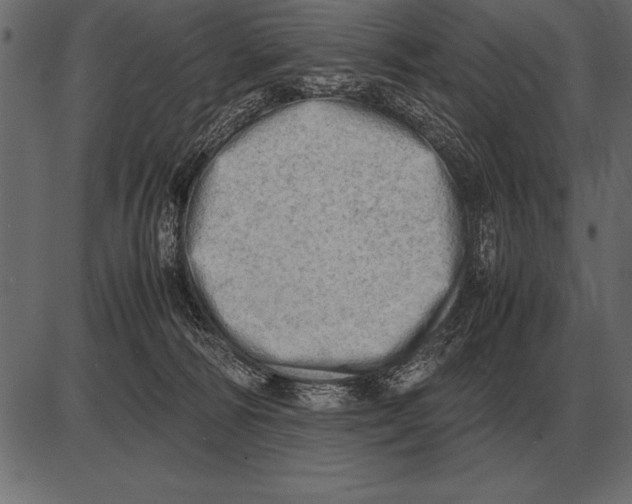 X0000085740226200704091518