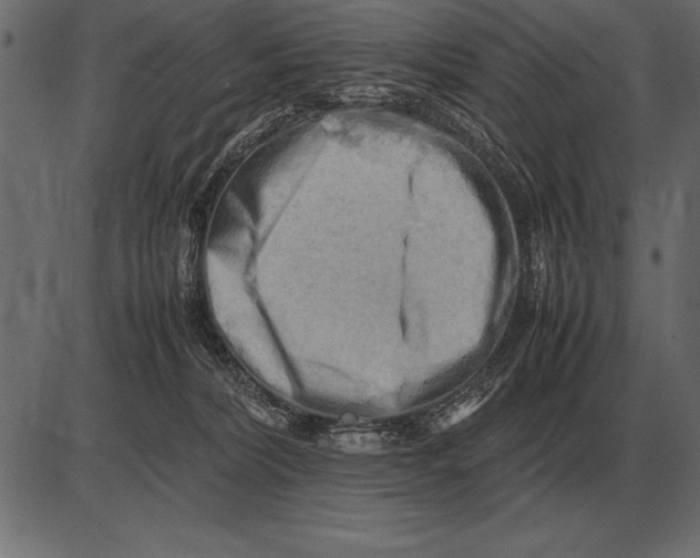 X0000085740228200704091518