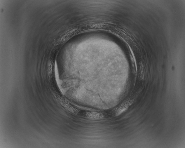 X0000085740230200704091518