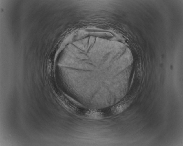 X0000085740231200704091518
