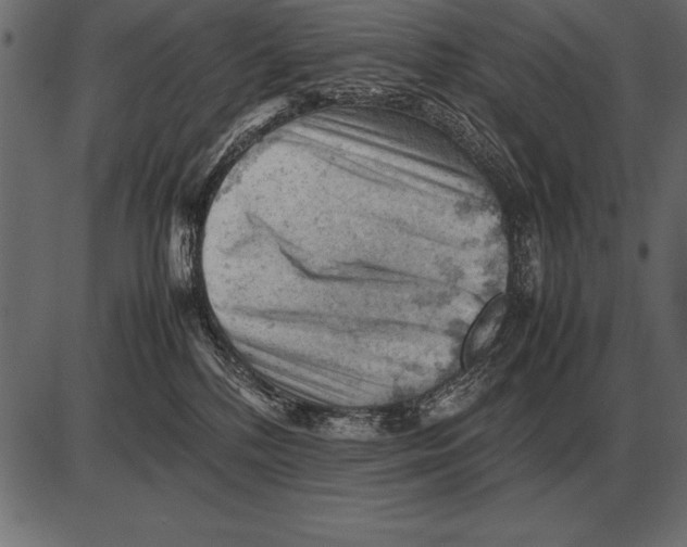 X0000085740232200704091518