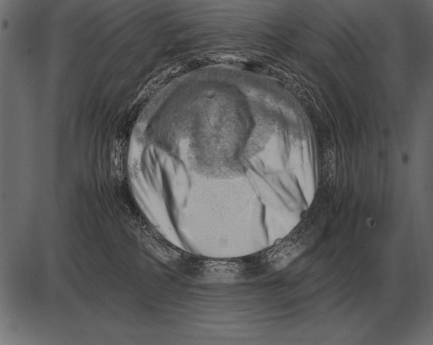 X0000085740234200704091518
